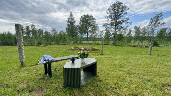 Trädgårdsbänk med bord